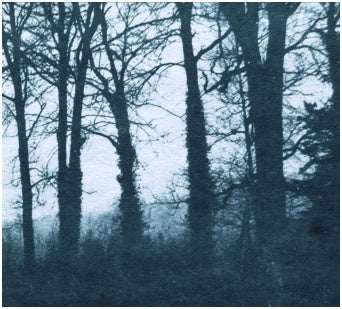 Dvorac - "Dreaming Is a New Awakening"