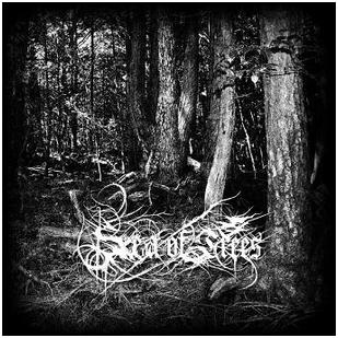 Sea Of Trees - "Aokigahara"