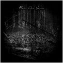 Endless Sorrow / Final Thoughts / Lost Inside - "From Our Veins"