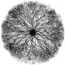 Self-Inflicted Violence - "The Sanctimonious Hypocrites of Reality"