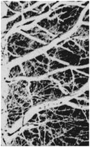 Left Drear - "Dissonant Screams"