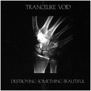 Trancelike Void - "Destroying Something Beautiful"
