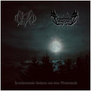 Asgard / Transzendenz - "Leuchtenstadt / Schreie Aus Dem Winterwald"