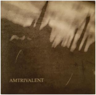 Fliegend / Lifeless Within / Negative Or Nothing - "Amtrivalent"