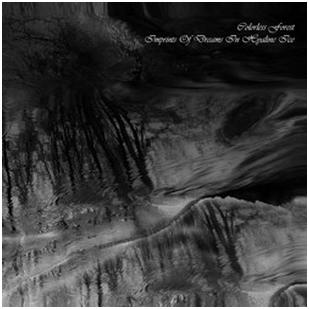 Colorless Forest - "Imprints Of Dreams In Hyaline Ice"