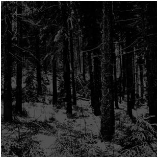 Moloch - "Abstrakter Wald"