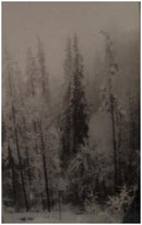 Midwinter - "Enthrone In Blizzard"